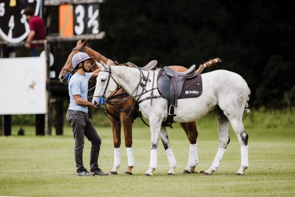 Between chukkas Saddled polo ponies standing with a handler beside the field