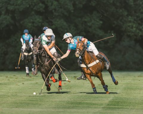Contest for the ball Two polo players leaning from their horses to contest the ball