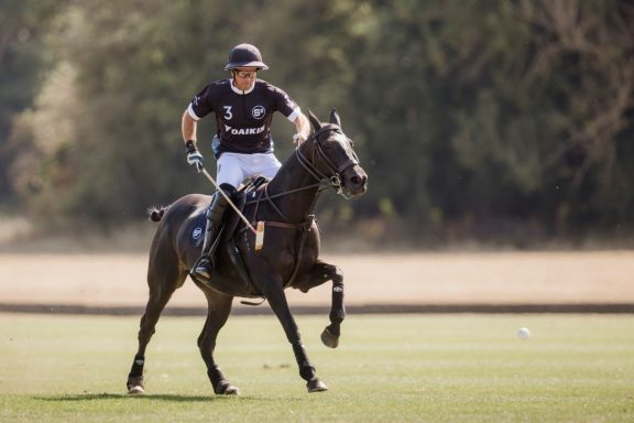 Polo portrait Polo player in a dark shirt riding a dark horse