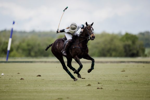 Polo swing Polo player raising a mallet while riding a dark horse
